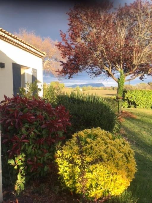 Sejour En Provence Maison Avec Vue Sur La Sainte Victoire Et Piscine Pres D'Aix En Provence Αιξ-αν-Προβάνς Εξωτερικό φωτογραφία